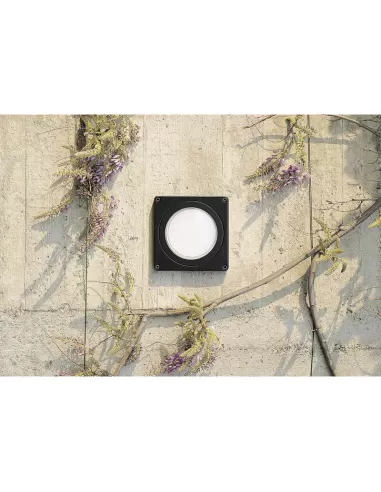 Castaldi D12/MH35-N Nut/mh35 jm 35w-g12 black